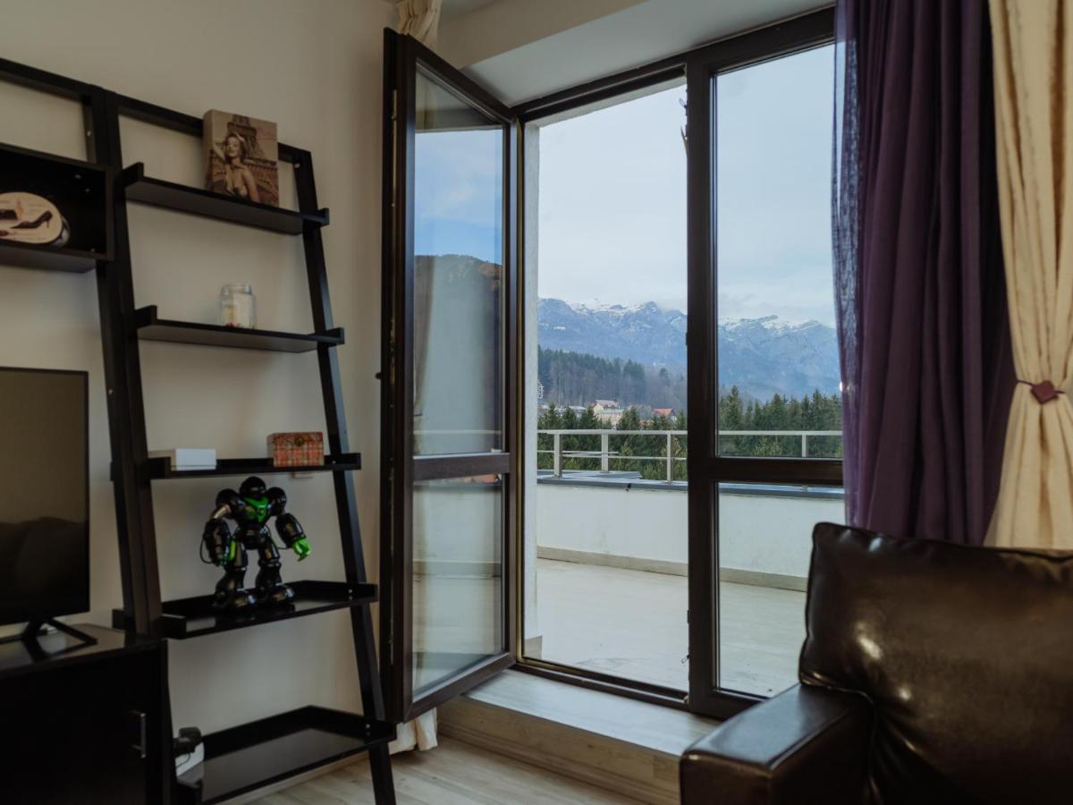 Apartamento Panoramic Loft Colina Marei Sinaia Exterior foto