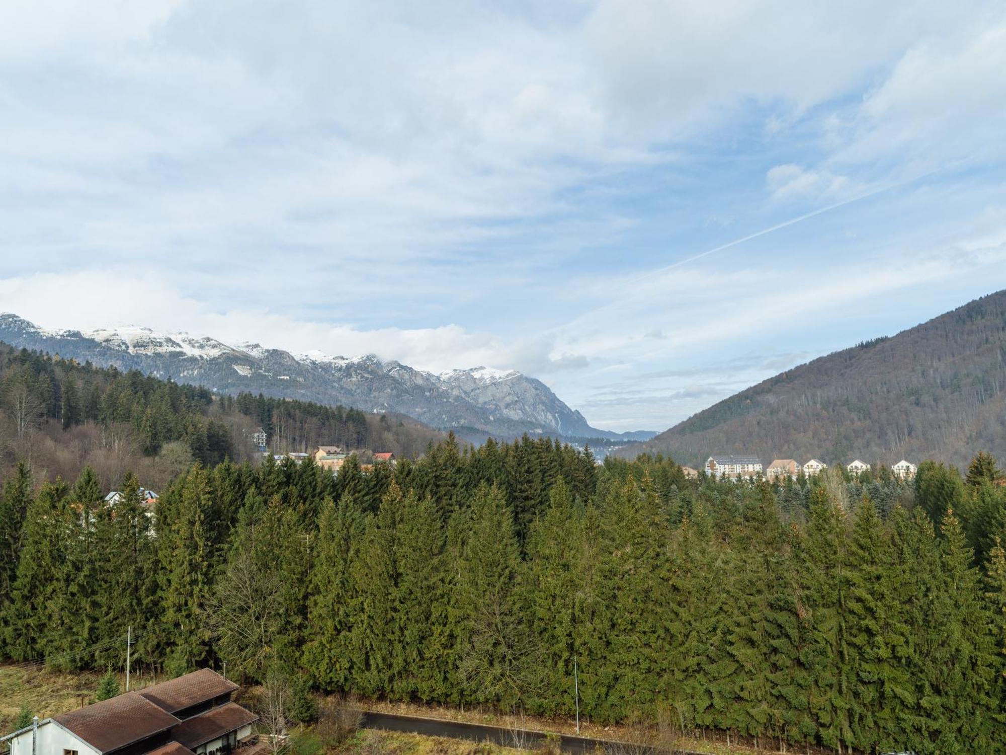 Apartamento Panoramic Loft Colina Marei Sinaia Exterior foto